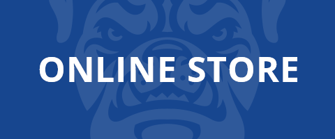 Online Store
