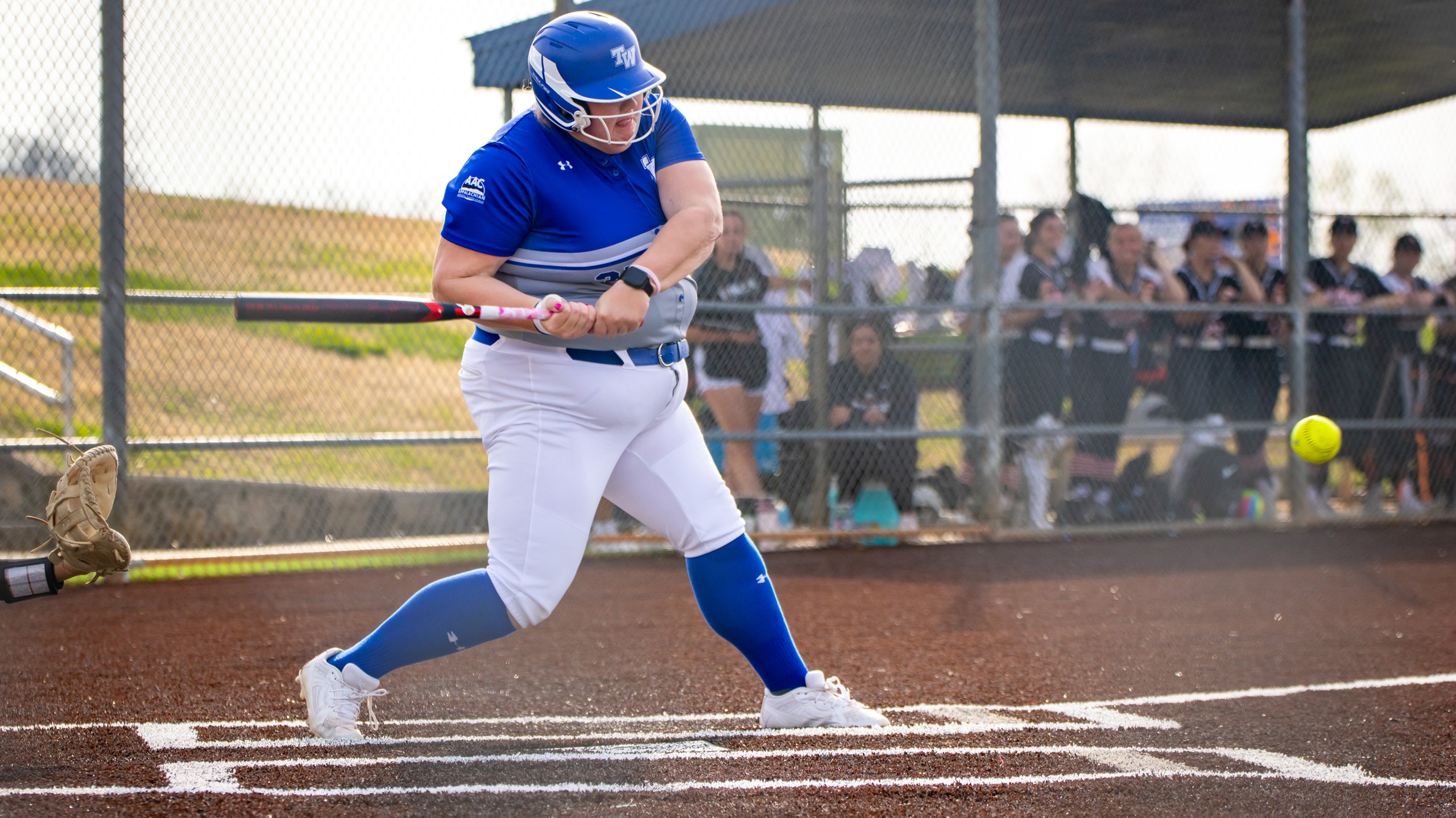 Softball Falls to Johnson